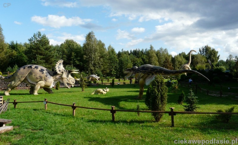 http://www.ciekawepodlasie.pl/image/254/Jurajski_Park_Dinozaurow.jpg