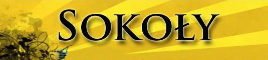 Sokoły