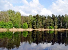 Rezerwat Przyrody 'Krasne'- Supraśl (PUSZCZA KNYSZYŃSKA)