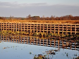 Kładka przez Narew (ŚLIWNO)