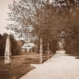 Obelisk na pamiątkę polowania Augusta III Sasa - BIAŁOWIEŻA