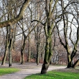 Park Centralny - BIAŁYSTOK