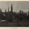 Zespół pałacowo- parkowy. - KORCZEW
