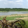 Zalew