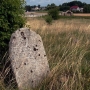 Cmentarz żydowski z 1817 roku.