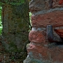 Park podworski de Virionów