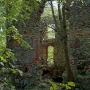 Park podworski de Virionów