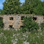 Park podworski de Virionów
