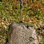 Cmentarz rzymsko-katolicki