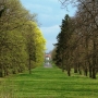 Park pałacowy