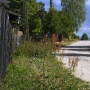 Starapodlaska wieś