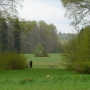 Park Pałacowy