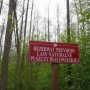 'Żebra żubra'