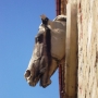 Piekny profil konia na ścianie stajni.