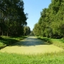 Park pałacowy