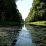 Park pałacowy