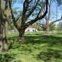 Borowie - zabytkowy park dworski