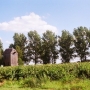 Wiatrak koźlak
