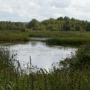 Zalew