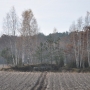 Kamień ogromnych rozmiarów - atrakcja turystyczna Tuliłowa