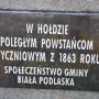 Zabytkowy cmentarz unicki, ob. prawosławny