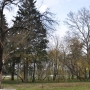 Dawny ogr&oacute;d dworski.Fot. Mikołaj Falkowski