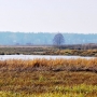 Położony w gęstym lesie Park Linowy sąsiaduje z doliną Narwi, gdzie można odetchnąć pełną piersią i zachwycić się pięknem nieskażonej natury.