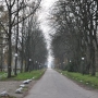 Zabytkowy zespół stadniny koni arabskich