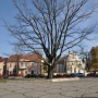 Fot. Mikołaj Falkowski