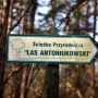 Rezerwat przyrody 'Antoniuk:'Białystok