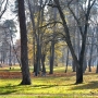 Park Konstytucji 3 Maja (Zwierzyniec)