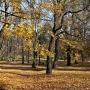 Park Konstytucji 3 Maja (Zwierzyniec)