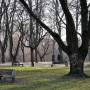 Park Centralny