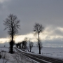 Prosta jak strzała droga z Sok&oacute;łki do Dąbrowy to pamiątka jeszcze z czas&oacute;w kr&oacute;lowej Bony. Wytyczona ją podczas przeprowadzonej w latach 1546-1563 pomiarze wł&oacute;cznym, będącym jednym z największych przedsięwzięć gospodarczych w &oacute;wczesnej Europie. 