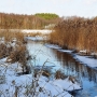 Biebrza zimową porą.
