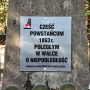 Stojący od czasu międzywojennego pomnik z napisem oddającym cześć powstańcom z 1863 roku, krył do 2010 roku mogiły powstańców listopadowych, którzy zginęli tutaj w czerwcu 1831r.