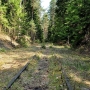 Rezerwat przyrody ' Woronicza' - Woronicze
