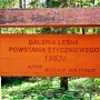 Rezerwat 'Surażkowo'. Galeria leśna Powstania Styczniowego 1863r.