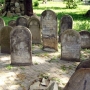 Łosice - Zabytkowy cmentarz żydowski