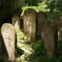 Zabytkowy cmentarz żydowski
