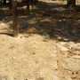 Zaczopki - Zabytkowy cmentarz pierwszowojenny