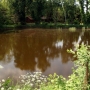Uroczysko Zaborek - staw