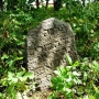 Cmentarz żydowski z XVIII/XIX w.