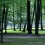 Akcent ZOO