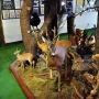 Galeria 'Na Skraju Puszcz'