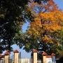 Barokowy Park Pałacowy