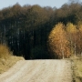 Kapliczka polna NMP