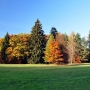 Park Pałacowy