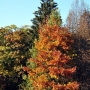 Park Pałacowy
