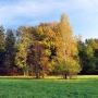 Park Pałacowy